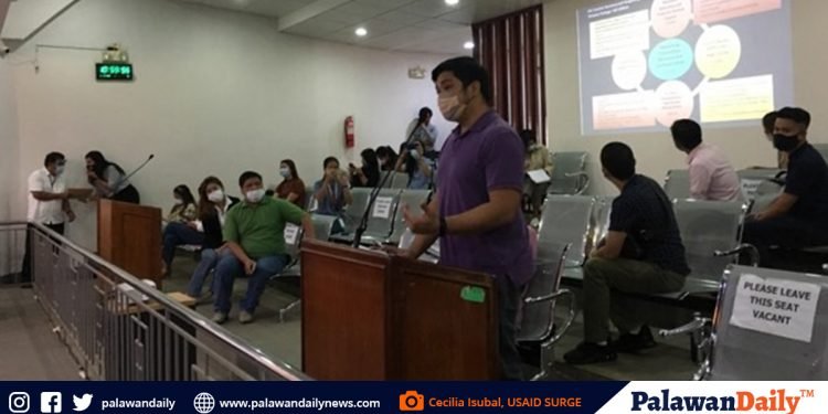 Puerto Princesa City presents roadmap for re-opening of tourism sector