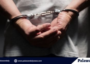 Wanted person ng Bayan ng San Vicente, nadakip sa Lungsod ng Puerto Princesa