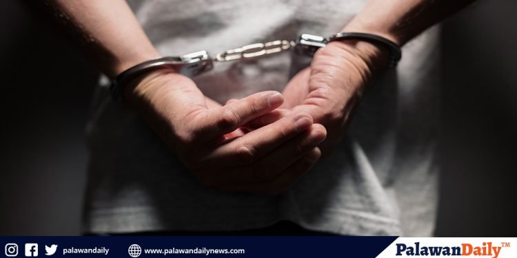 Wanted person ng Bayan ng San Vicente, nadakip sa Lungsod ng Puerto Princesa