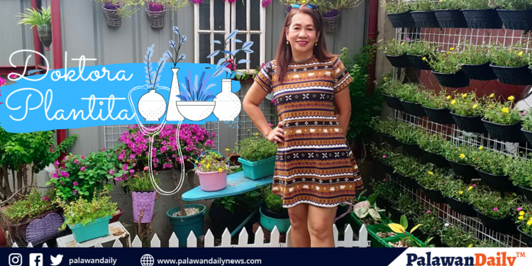Dr. Lilian Tan, the Doctor turned Plant Tita turn Vlogger of Palawan