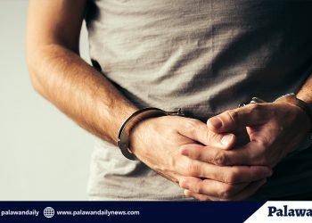 Wanted person arrested in Bgy. Sicsican