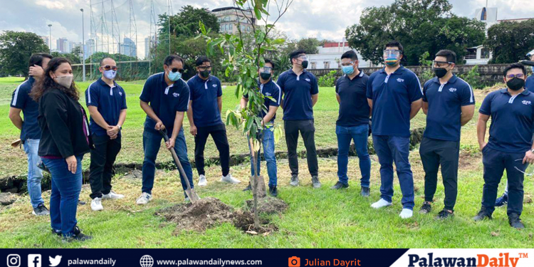 Balayong Trees are now planted in Intramuros