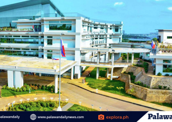 City government creates multi-agency environmental protection body