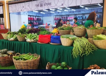SM City Puerto Princesa’s Harvest Fair 2020 supports farmers from Palawan towns