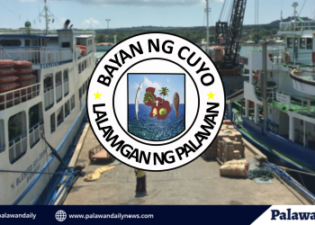 Byahe palabas ng Cuyo, papayagan depende sa lugar na pupuntahan – Delos Reyes