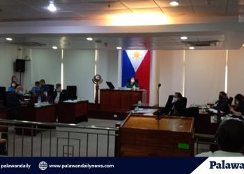 P3.7-B pondo ng Puerto Princesa City para sa 2021, nakatakda nang talakayin sa susunod na linggo