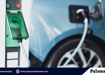 DOE: government will help electric vehicle flourish