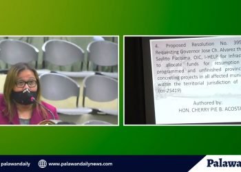 Sangguniang Panlalawigan requests funds to complete road concreting projects in the province