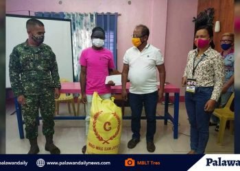 Sumukong NPA, iprinisenta sa publiko ng MTF-ELCAC-Roxas
