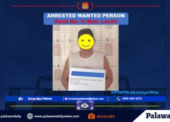 Most wanted person in Roxas, arrested