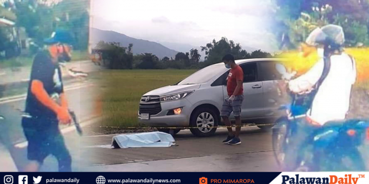 Special Investigation Task Group Magcamit, binuo kaugnay ng pamamaslang sa abogado ng Narra