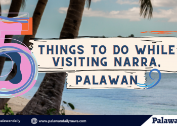 5 things to do while visiting Narra, Palawan