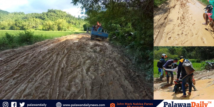 Maputik na kalsada sa Brgy. Tumarbong sa Bayan ng Roxas, inirereklamo