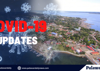 Pang-anim na bagong kaso ng COVID-19 sa Puerto Princesa, naitala ngayong araw