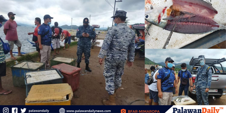BFAR confiscates 360 kilograms of blasted fish in Coron