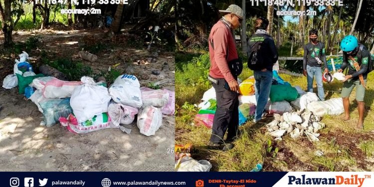 P1.2-M worth of fossilized clamshells seized in El Nido