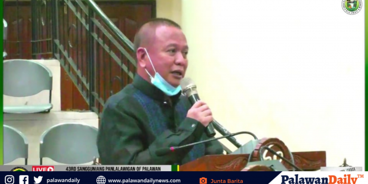 Face to face classes sa Palawan sa 2021, iminungkahi ni BM Benedito