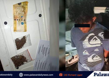 Lalaking nagbebenta ng Marijuana, arestado