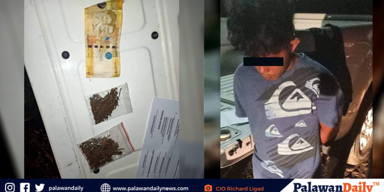 Lalaking nagbebenta ng Marijuana, arestado