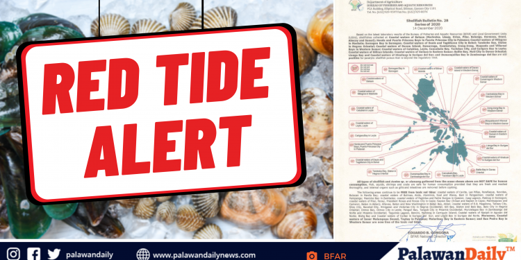 BFAR declares shellfish ban in 21 areas nationwide, including the bay in Puerto Princesa and Honda bay