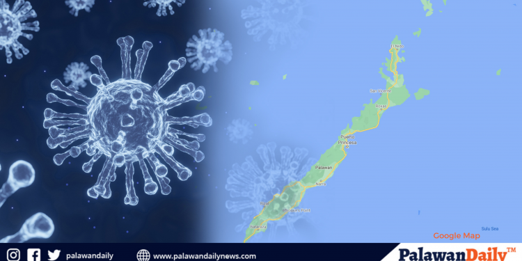Bagong strain ng COVID-19, hindi hahayaang makapasok sa Lalawigan ng Palawan