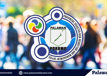PDRRMO humiling ng suporta sa publiko para maiwasan ang pagpasok ng bagong COVID-19 strain