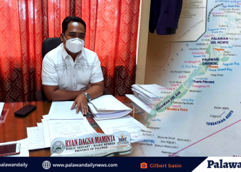 BM Maminta pinasaringan ang mga kumokontra sa 3n1 Palawan