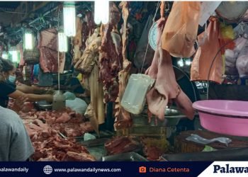 Mataas na presyo ng pag-angkat ng karne ng baboy, iniinda ng mga vendor sa New Market
