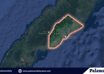 SB member ng Brooke’s Point, humingi ng dispensa