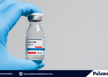 Puerto Princesa, nakikipag-ugnayan na sa Moderna at Johnson & Johnson para sa COVID-19 vaccine