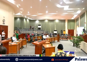 Pamasahe at Social Distancing sa mga pampublikong sasakyan sa Palawan, iimbestigahan ng Sangguniang Panlalawigan