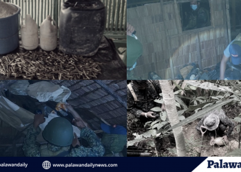 Presensya ng NPA sa Palawan, target na matuldukan ngayong 2021