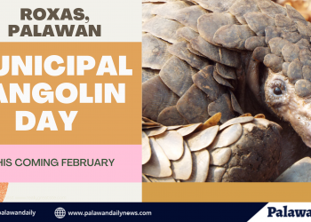 Roxas, to celebrate 1st Municipal Pangolin Day
