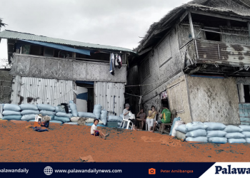 300 pamilya sa coastline target i-relocate ng LGU Brooke’s Point