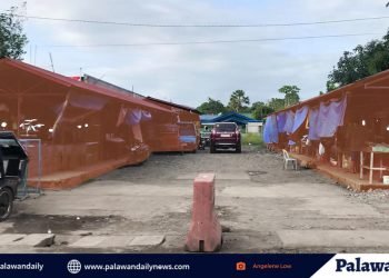 Pagbabawal nang pagtitinda ng isda at karne sa talipapa ng Brgy Sicsican, inalmahan