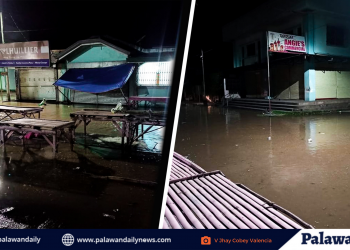 Amihan, nagdulot ng biglaang pagtaas ng lebel ng tubig-dagat sa sur ng Palawan