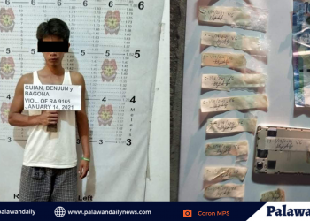 Binata, nahulihan ng 12 pakete ng hinihinalang shabu sa Coron