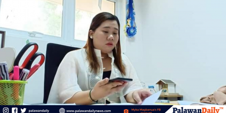 Ordinansa para mas maprotektahan ang mga kabataan sa Puerto Princesa, isinusulong ng SK