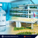 Puerto Princesa, kasado na ang pagbili ng COVID-19 Vaccine