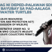 DepEd-Palawan Superintendent Natividad Bayubay, iligal na nag-alaga ng dalawang freshwater turtles