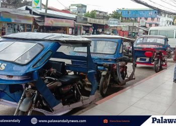 Panukalang pagbabalik ng dating pasahe sa traysikel, ikinatuwa ng mga commuter, driver