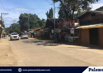 Operasyon ng mga tindahan sa lungsod ng Puerto Princesa, hindi pinaghihigpitan