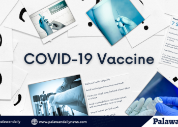 Information dissemination kaugnay ng COVID-19 vaccine, sisimulan na ngayong buwan sa Puerto Princesa