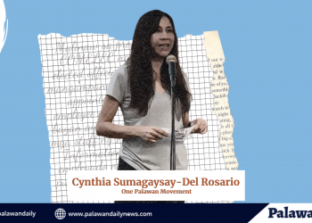 One Palawan Movement: Mga government employees na nangangampanya, ireklamo sa COMELEC