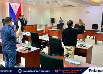 Sangguniang Panlungsod, duda sa kakayanan ng GSMAXX Construction