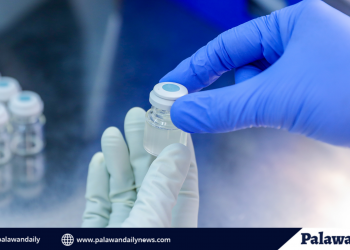 Palawan, nag-iisang may cold storage facility ng COVID-19 vaccine sa MIMAROPA