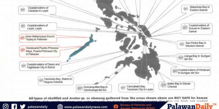 Puerto Princesa Bay, Honda Bay, at Inner Malampaya Sound sa Taytay, positibo pa rin sa red tide
