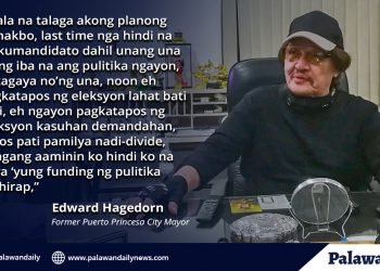 Hagedorn: No more Politics; OK to divide Palawan, but only 2 provinces
