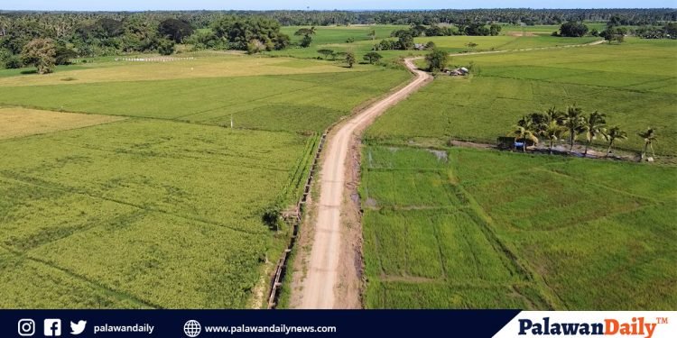 Pagpapasemento ng NIA road sa brgy. Inawagan lunsod ng Puerto Princesa, pahabol na regalo ni Cong Atty. Gil “Kabarangay Jr” Acosta