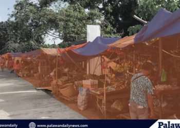 Pagpapasunod sa minimum health standard sa New Public Market, pahirapan- COVID Marshal